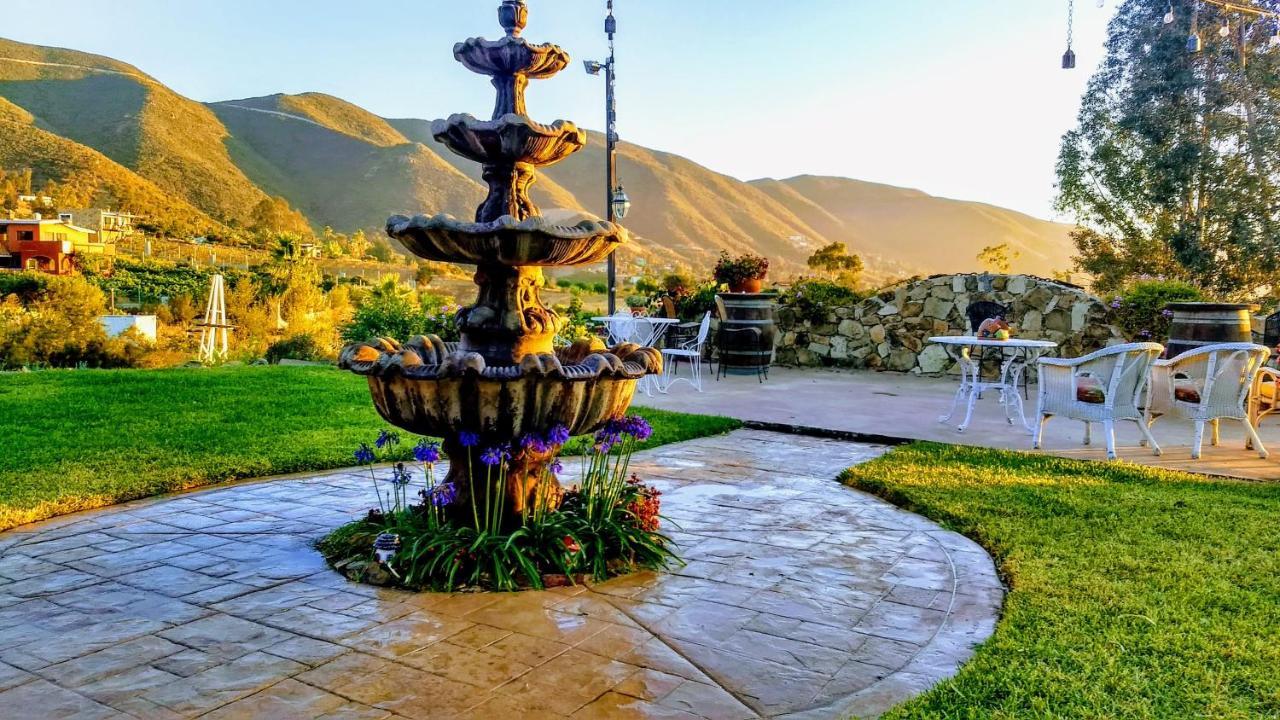 Vina Calabria Bed & Breakfast Valle de Guadalupe Luaran gambar