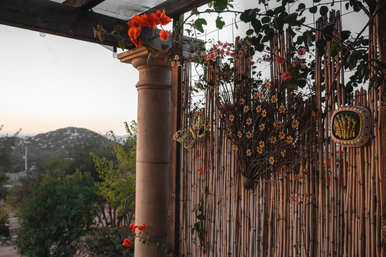 Vina Calabria Bed & Breakfast Valle de Guadalupe Luaran gambar