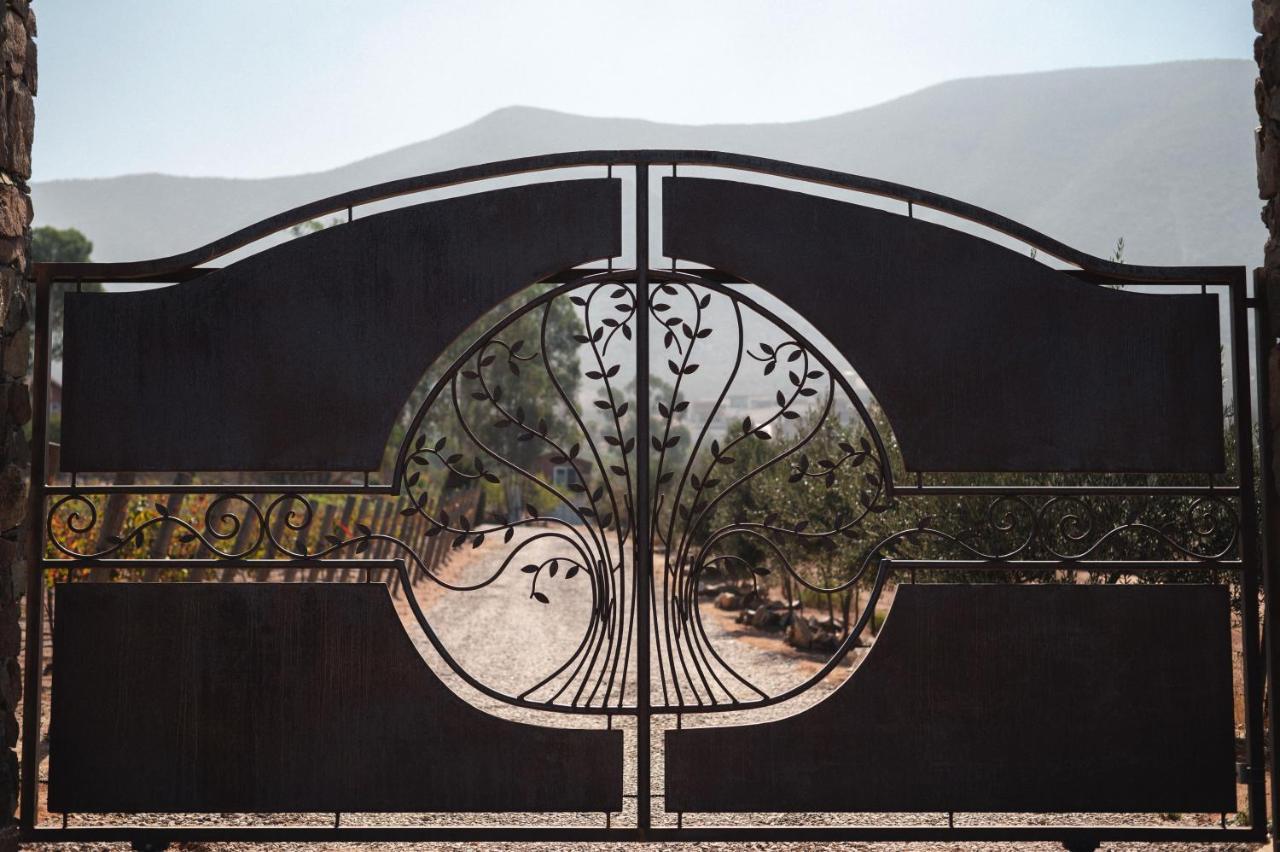 Vina Calabria Bed & Breakfast Valle de Guadalupe Luaran gambar