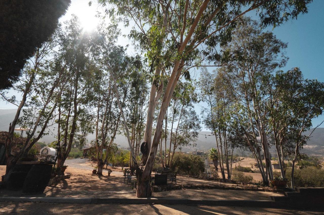 Vina Calabria Bed & Breakfast Valle de Guadalupe Luaran gambar