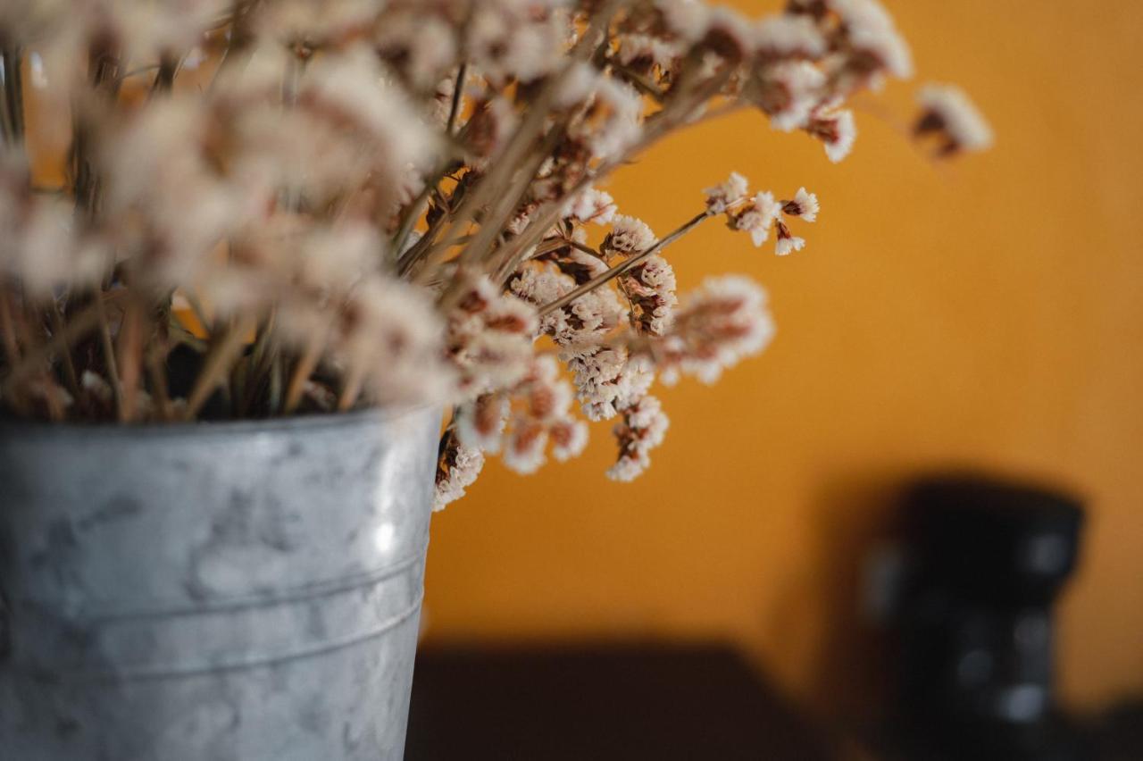 Vina Calabria Bed & Breakfast Valle de Guadalupe Luaran gambar