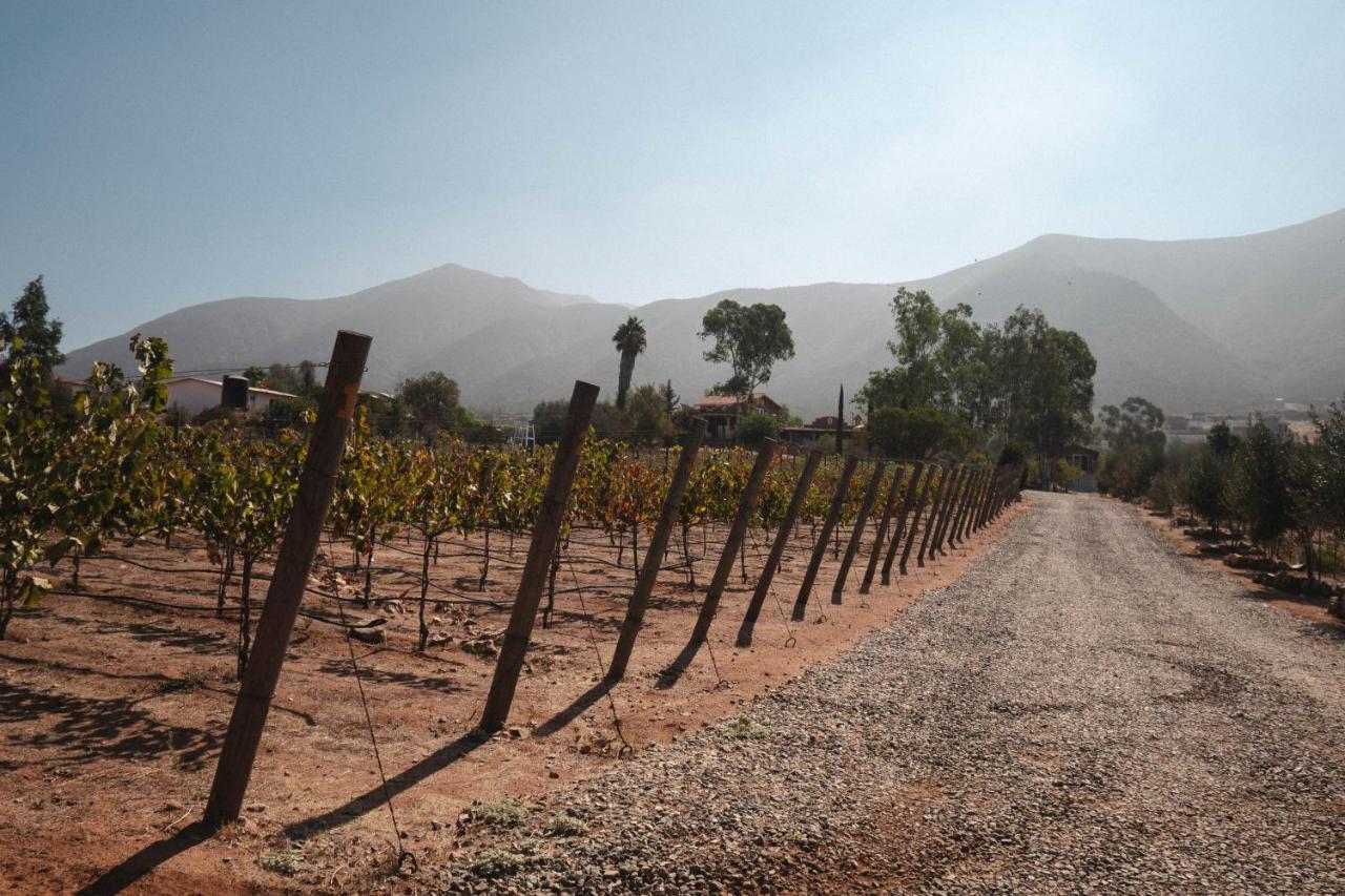 Vina Calabria Bed & Breakfast Valle de Guadalupe Luaran gambar