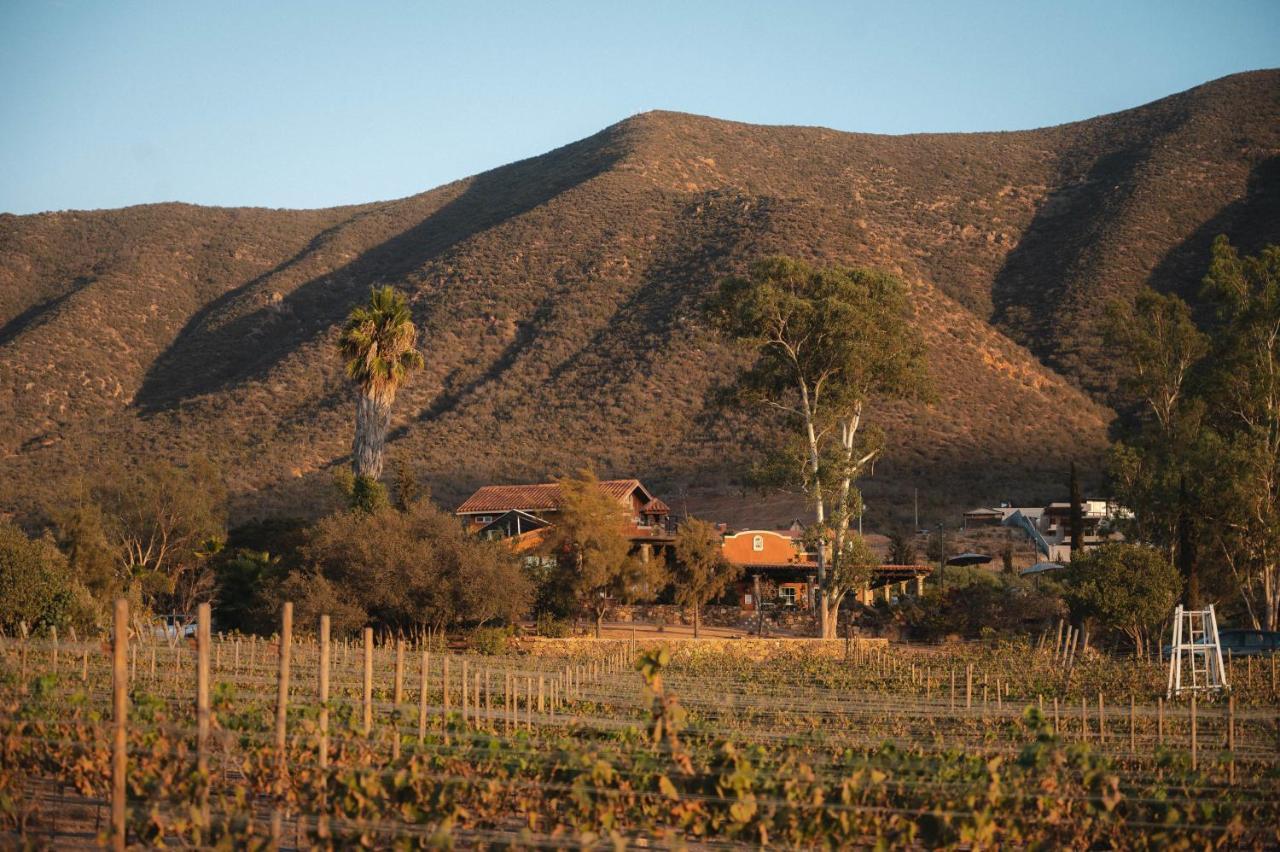 Vina Calabria Bed & Breakfast Valle de Guadalupe Luaran gambar